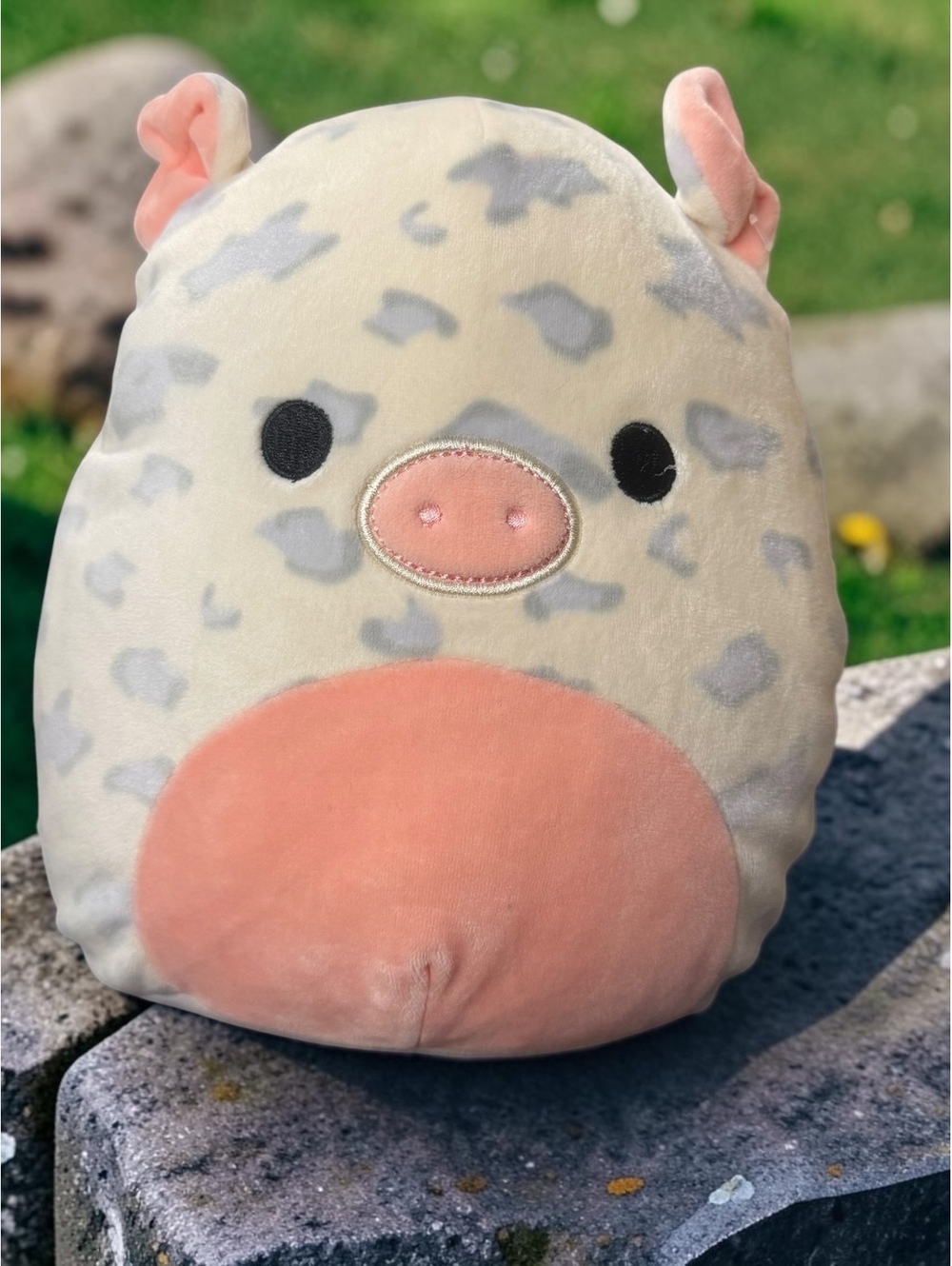 Squishmallows Rosie the Spotted Pig 8” Plush Pink Gray Kellytoy